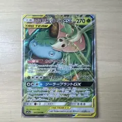 ツタージャ&フシギバナgx rr