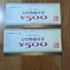 ヤマダ電機　株主優待　お買物優待券500円×2