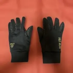 Item thumbnail for item 5e327a78-2a99-4c88-8e0c-85b54ba74985