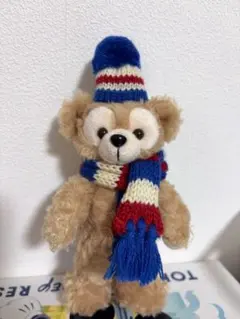 ③ ダッフィー　ぬいぐるみバッジ　潰れ防止宅急便コンパクト配送