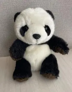 Bamboo Bear パンダ　　サンアロー　　可愛い　　18センチ 美品