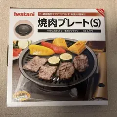 Item thumbnail for item ae44b65a-044f-4687-a00c-edf27216f133