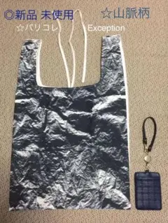 ☆Exception 山脈柄 布バック ◎新品未使用