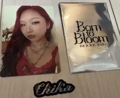 HANA Born to Bloom トレカ ステッカー　チカ