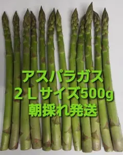 グリーンアスパラ２Ｌサイズ500gのサムネイル