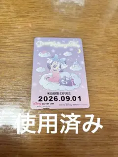 ディズニーリゾートライン フリーきっぷ ミニー フィガロ
