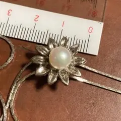 Item thumbnail for item 09bf5225-b850-4005-9820-bf5ec325737e