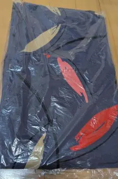 Item thumbnail for item 43eae60d-d977-4036-931d-fcc8933b7b84