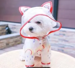 小型犬用レインコート　ペットバックパック