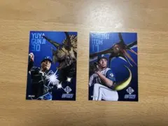 超恐竜展 2枚セット