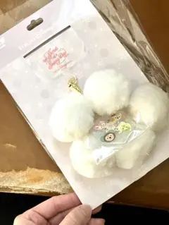 R*i様 新品未使用☆ ダッフィー＆フレンズ　スマホアクセ　ストラップ