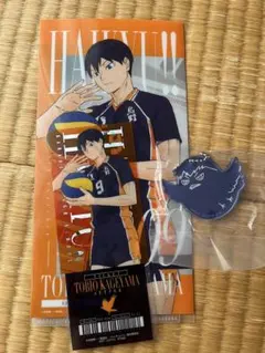 一番くじ ハイキュー アクリルチャーム チケットケース 影山飛雄