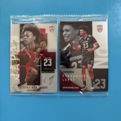 バレーボール日本代表 トレーディングカード エバデダンラリー 2枚セット