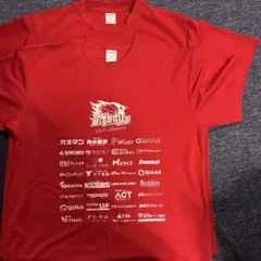 岩手ビッグブルズ 2025-26シーズン Tシャツ 2枚セットＬ.XL