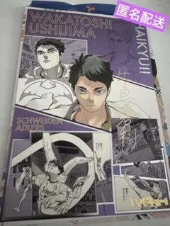 ハイキュー 箔押しイラストカード 牛島 若利