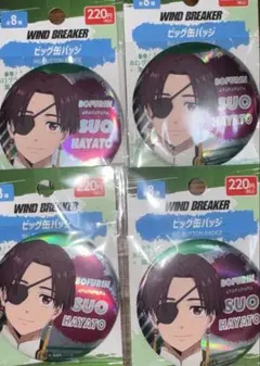 ウィンドブレーカー 蘇枋隼飛 ダイソー ビック缶バッジ Windbreaker