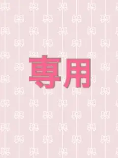 専用出品