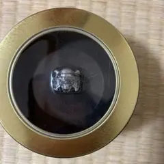 2025年最新】ワンピース パイレーツリングの人気アイテム - メルカリ