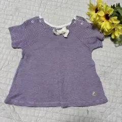 PETIT BATEAU 紫ボーダー 半袖Tシャツ 18m 81cm