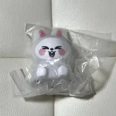 2026年最新】Skzoo リービット ぬいぐるみの人気アイテム - メルカリ