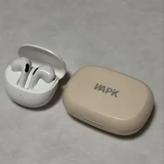 DAISO 完全ワイヤレスイヤホン ホワイト Bluetooth