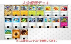 シロナのガブリアスex　構築済みデッキ　大会優勝デッキ　透明スリーブ付き