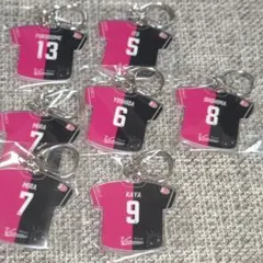 ヴィクトリーナ姫路 スポーツ選手