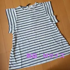 Item thumbnail for item a56ad184-49a4-4ea4-b33b-7d7759ac4e4b