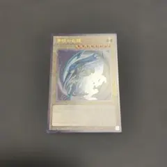 遊戯王　青眼の白龍　レリーフ　プライド 青眼の白龍 レリーフ」の激安通販 | magi