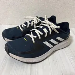 Item thumbnail for item 11e1de1a-7cc3-4b16-9efc-965d5d9020b5