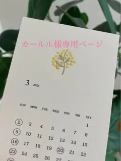 カールル様専用ページ