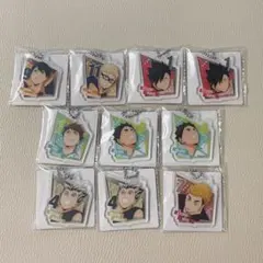 ハイキュー　アクリミニ　アクリルキーチェーン2　セリア