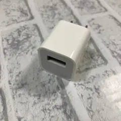 Apple USB電源アダプタ 5V/1A