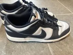 Nike Dunk Low Retro