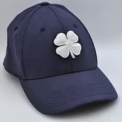 Item thumbnail for item 20329499-ec48-4adc-8b55-fa93504a5fa1