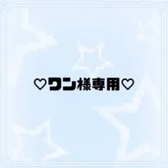 専用 ˖ ࣪⊹