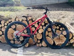 早い者勝ち ⭐︎GW特別価格⭐︎【総額55万円超】SURLY クランパス 超美品のサムネイル