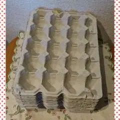 卵 紙パック ケース 10枚セット ハンドメイド 素材 コオロギ