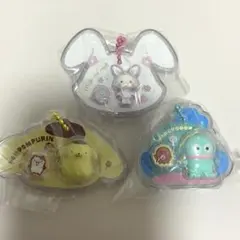 サンリオ パッケージチャーム ポムポムプリン ウィッシュミーメル ハンギョドン