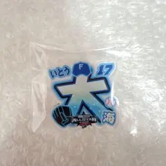 マイナビオールスター2026 北海道日本ハムファイターズ伊藤大海選手