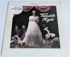 TM NETWORK トゥインクルナイト TWINKLE NIGHT アナログ盤