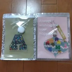 嵐　オーナメント