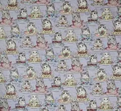 Item thumbnail for item 36ad6058-6f80-4e1e-a572-cecd864cb79a