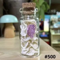#500 アミコケムシ