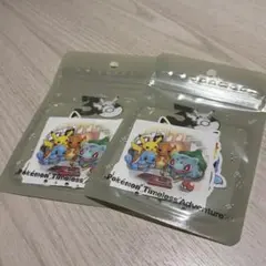 ステッカーセット ポケモン Timeless Adventure カントー 2個