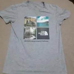THE NORTH FACE ビッグサー Tシャツ グレー