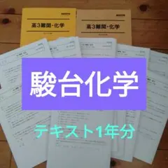 【新品】駿台　難関化学テキスト１年分　授業テストプリント大学受験共通テスト医学部のサムネイル
