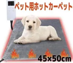 Item thumbnail for item 76dbeebf-727d-4a6c-8480-1e42b7f76286