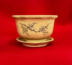 中国美術 梅紋樣 黄泥盆栽鉢 植木鉢 紅花怒放 - メルカリ