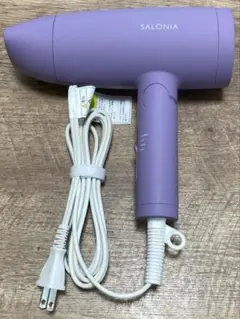 SALONIA スピーディーイオンドライヤー SL-013